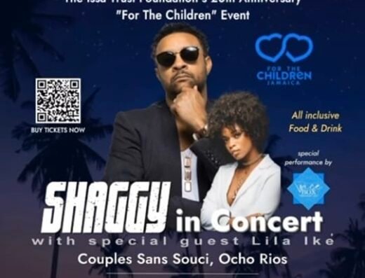 Shaggy in concert
