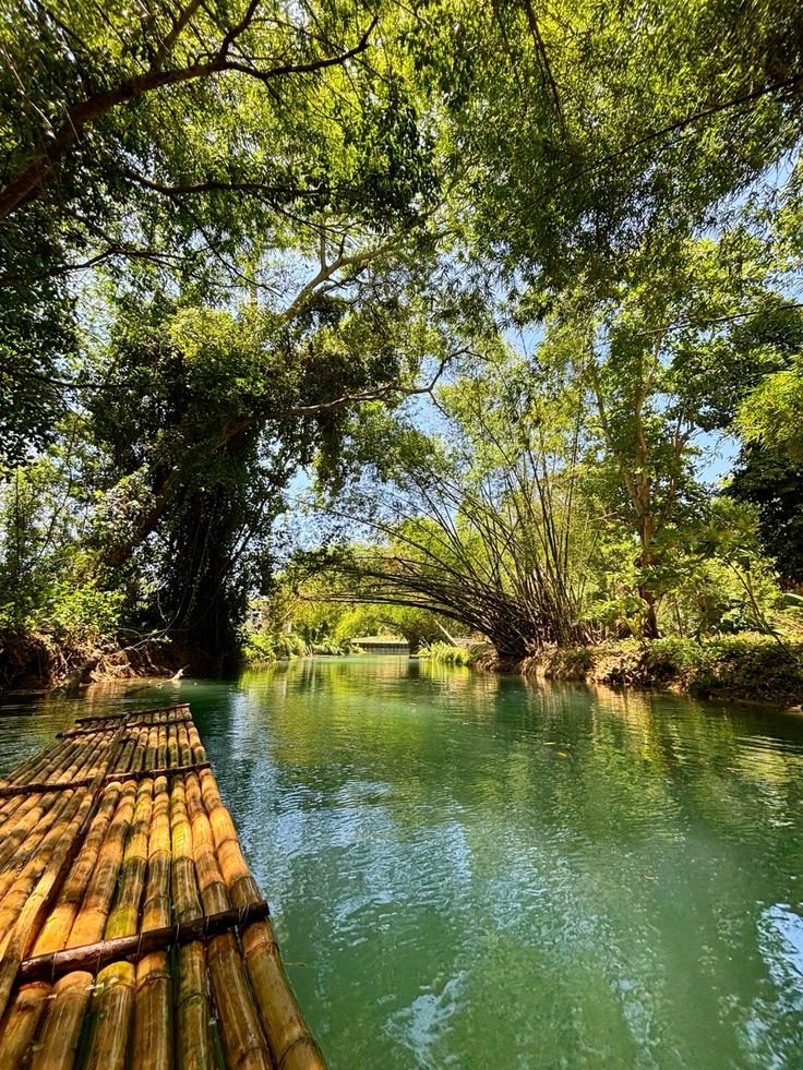 Martha Brae Rive Martha Brae River – Listeo