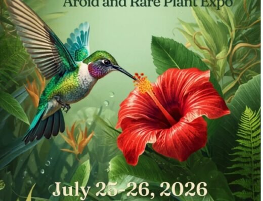  Jamaica Aroid and Plant Expo