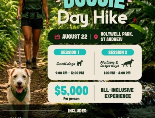 Doggie Day Hike