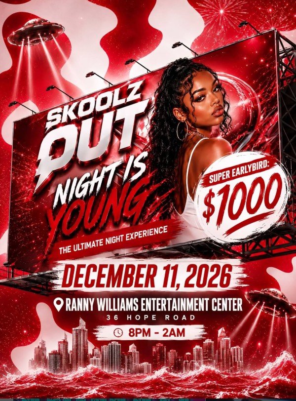 Skoolz Out – Night is Young